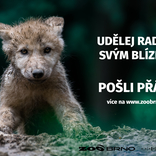 Pošli přání. Lidé mohou přispět na chov zvířat v Zoo Brno a udělat radost blízkým